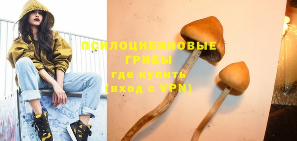 твердый Арсеньев