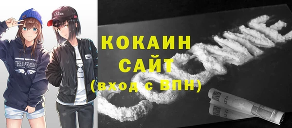 твердый Арсеньев