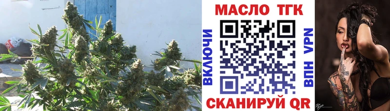 ТГК вейп с тгк ссылка на мегу как войти Узловая продажа наркотиков