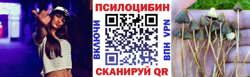 hydra рабочий сайт  Узловая  Галлюциногенные грибы прущие грибы 